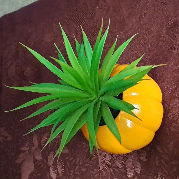 Cactus String of Lights & Faux Succulent - Picture 8 of 10